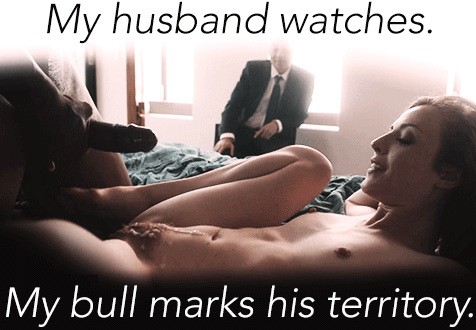 476px x 330px - husband and bull - Porn With Text