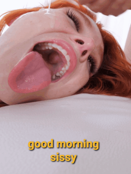 431px x 575px - Good morning sissy. - Porn With Text
