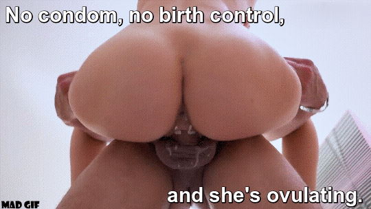 Breeding Sissy Porn Captions - Breeding Caption - Porn With Text