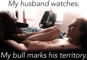 husband and bull